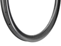 LIGHT BICYCLE Felge 28" Falcon Pro WG44 Disc Flyweight 44 mm | UD-Carbon | 24-Loch | seidenglanz