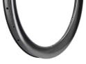 LIGHT BICYCLE Rim 28" Falcon Pro WG55 Disc Flyweight 55 mm | UD-Carbon | 24-Hole | satin glossy