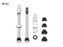 WOLF TOOTH Tubeless Valve Stem Kit / Clik Valve | 2 pcs. | raw silver 44 mm