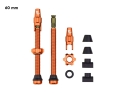 WOLF TOOTH Tubeless Ventile Stem Kit für Clik Valve | 2 Stk. | orange 60 mm