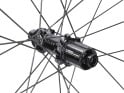 SISLENT Wheelset 28" Gravel Wild 35 Campagnolo N3W
