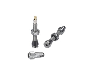 HOPE Tubeless Valve Set | smoke