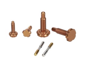 OAK COMPONENTS CPA+EPA-Screw Set for Root Lever Pro |...
