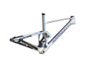 MONDRAKER Frame 29" F-Podium Carbon Unlimited Iridium | Oil Slick / Rainbow L (47 cm)