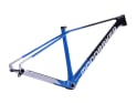 MONDRAKER Rahmen 29" Podium Carbon RR SL | Team Edition