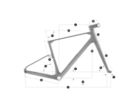 MONDRAKER Frame 28" Arid Carbon RR SL | Fangsia