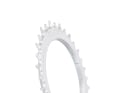 GARBARUK Chainring MTB Oval 1-speed narrow-wide Thread Mount | Aero for XX / XX SL Powermeter Spider | 0 mm Offset | silver 34 Teeth