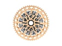 TRP EVO 12 Cassette 12-speed CS-M9050-12 10-52 teeth | black / gold