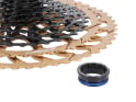 TRP EVO 12 Cassette 12-speed CS-M9050-12 10-52 teeth | black / gold