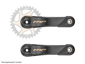 TRP EVO 12 Carbon Crank CK-M9050-L | black / gold