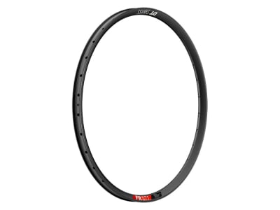 DT SWISS Rim 29" FR 571 | 32 Holes | black