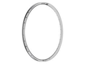 DT SWISS Felge 29" FR 571 | 32 Loch | silber