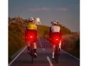 KNOG Rücklicht Blinder Link | internationale Version