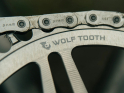WOLF TOOTH Kettenblatt Direct Mount Drop-Stop B | 1-fach SRAM 8-Loch BOOST 55 mm | raw silver 32 Zähne