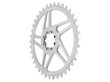 WOLF TOOTH Chainring Direct Mount Drop-Stop B | 1-speed SRAM 8-bolt STANDARD 45 mm | raw silver 38 Teeth
