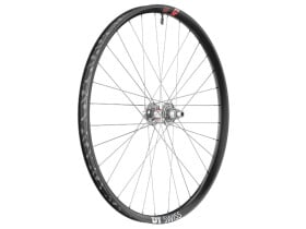 DT SWISS Rear Wheel 29" EXC 1200 Classic DEG90...