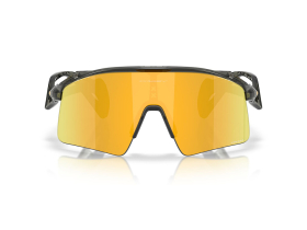 OAKLEY Sunglasses Stunt Wing Grey Smoke | Prizm 24k...