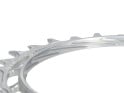 GARBARUK Kettenblatt MTB Oval 1-fach narrow-wide Thread Mount für XX / XX SL Powermeter Spider | 0 mm Offset | silber 34 Zähne