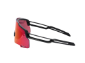 SHIMANO Brille Equinox 5 Matte Black | Ridescape RD