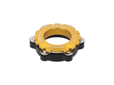 ASHIMA Adapter Centra-XL Center Lock Hub to 6-Bolt Brake Rotor | Gold