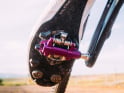 WOLF TOOTH Pedals DEL Gravel | ultraviolet purple