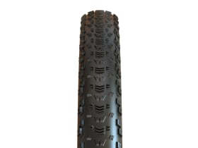 MAXXIS Tire Aspen 32 x 2.4 WT MaxxSpeed TR EXO