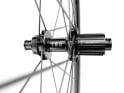 DT SWISS Rear Wheel 28" ARC 1100 Spline CS WTS Center Lock 38 mm | 12x142 mm Thru Axle | Shimano Road / SRAM XDR