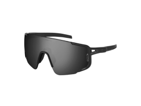 SWEET PROTECTION Sunglasses Ronin Polarized | Obsidian...