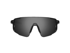 SWEET PROTECTION Sunglasses Ronin Polarized | Obsidian...