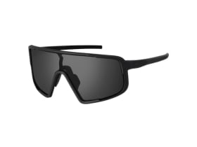 SWEET PROTECTION Sunglasses Memento Polarized | Obsidian...