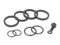 HOPE Spare Part Seal Rebuild Kit for TR4 Caliper