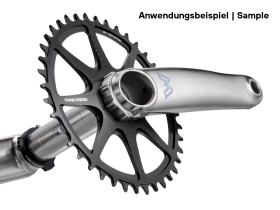 CANE CREEK eeWings II All Road Crank | brushed titanium
