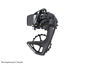 CERAMICSPEED OSPW RS 5-Spoke Derailleur Cage System |...