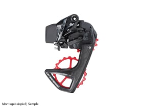 CERAMICSPEED OSPW RS 5-Spoke Derailleur Cage System |...