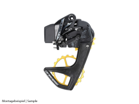 CERAMICSPEED OSPW RS 5-Spoke Derailleur Cage System |...