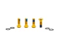 OAK COMPONENTS Schrauben Titan für Bremssattel M6 x 16 mm | 4 Stück | gold