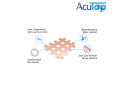 ACUTOP Acupuncture Plaster Grid Tape Type C | 40 Pieces