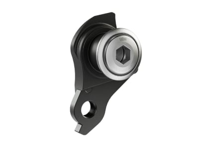 SRAM UDH | Universal Derailleur Hanger | silver