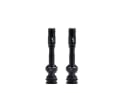 BBB CYCLING Tubeless Valve CoreCap AL 2 pieces | black
