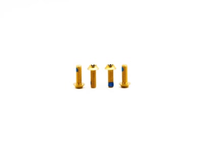 OAK COMPONENTS Titanium Bolts for Bottle Cage M5 x 15 mm | 4 pcs | Gold