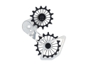 FRAEZEN Rear Derailleur Cage System KAEFIG DH | for SRAM Eagle Transmission | black / silver