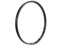 DUKE Felge 29" Crazy Jack SLS5 6Ters UD Carbon | 31 mm Hinterrrad
