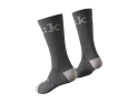 FIZIK Socks Performance Team Edition | anthracite S (35-39)