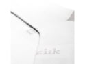 FIZIK Socks Performance Team Edition | white L (44-47)