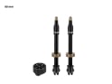 TOPEAK Tubeless Ventil Set TurboFlow Valve Kit