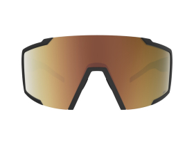 SCOTT Sunglasses Shield Light Sensitive black / AMP LS...