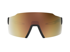 SCOTT Sunglasses Stride Compact Light Sensitive black /...