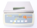 POLAR Wristband for Loop | Forest Green S-L