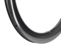 LIGHT BICYCLE Felge 28" Falcon Pro Airia Flyweight 55 mm | 24 Loch | seidenglanz
