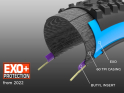 MAXXIS Reifen Minion DHF 29 x 2,50 WT MaxxTerra TR EXO+